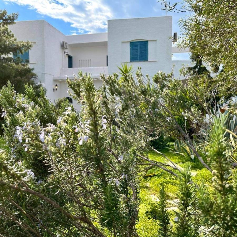 Villa Velissarios: Wonderful Villa Next To Beach Aegina Екстериор снимка